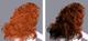 cCurlsShadowCompare.png [533Ko]