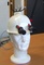 casque-sansCP.jpg [67Ko]